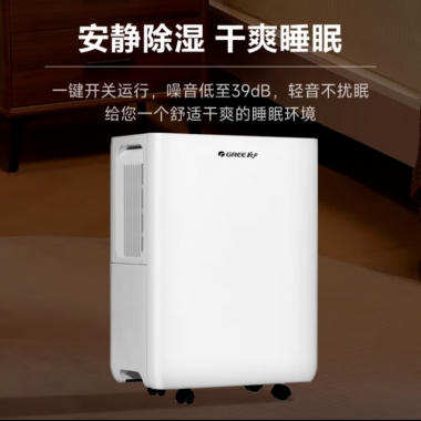 格力（GREE）除湿机/抽湿机除湿量20升/天家用轻音地下室干衣除湿器 20-40㎡适用 DH20EOA2A